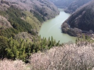 IMG_0467