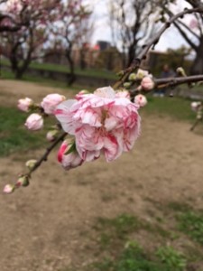 IMG_1848